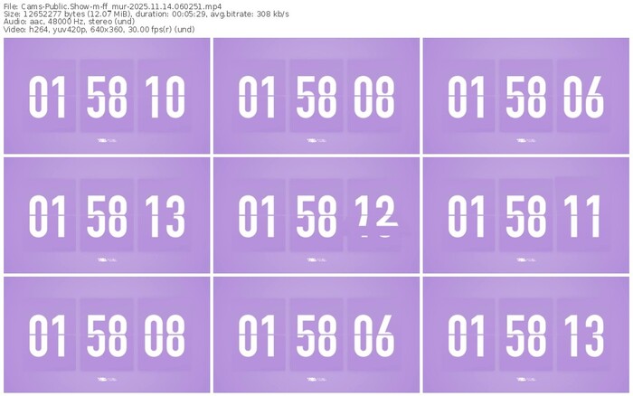 cams-ff_mur-11-14-2025-06-02-51