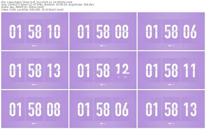 cams-ff_mur-11-14-2025-06-02-51