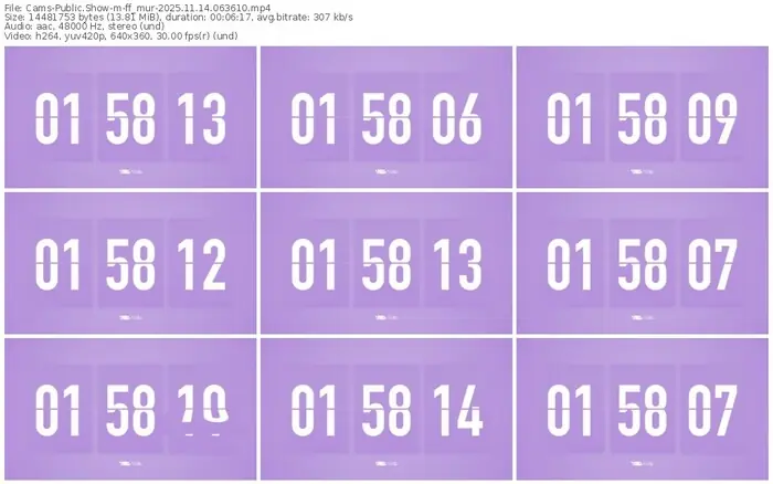 cams-ff_mur-11-14-2025-06-36-10