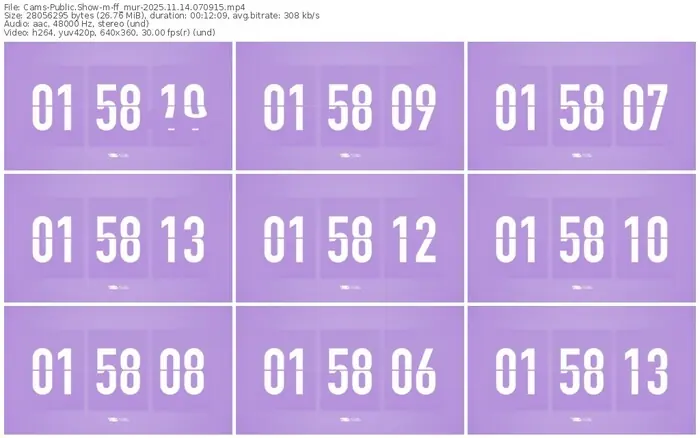 cams-ff_mur-11-14-2025-07-09-15