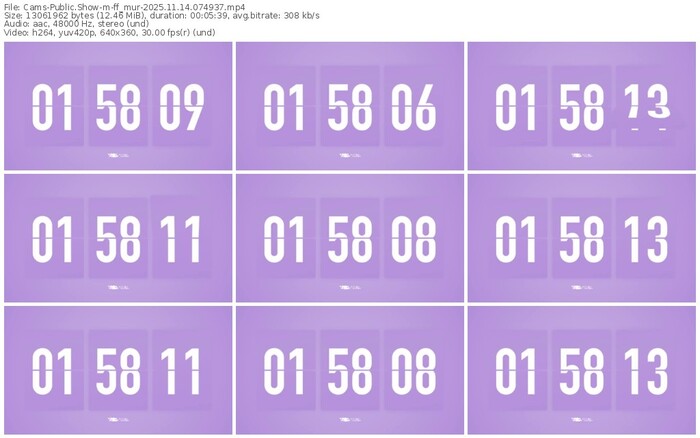 cams-ff_mur-11-14-2025-07-49-37