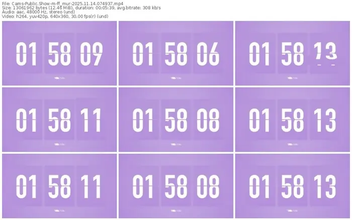 cams-ff_mur-11-14-2025-07-49-37