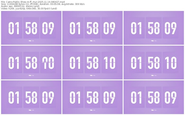 cams-ff_mur-11-14-2025-08-04-27