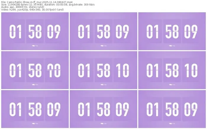 cams-ff_mur-11-14-2025-08-04-27