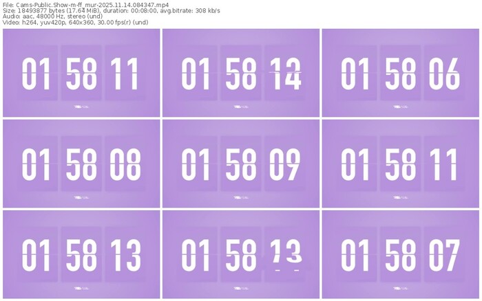 cams-ff_mur-11-14-2025-08-43-47