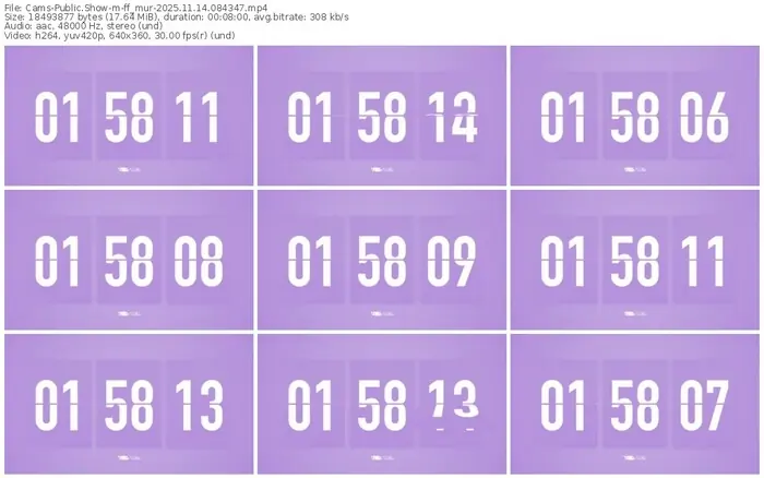cams-ff_mur-11-14-2025-08-43-47