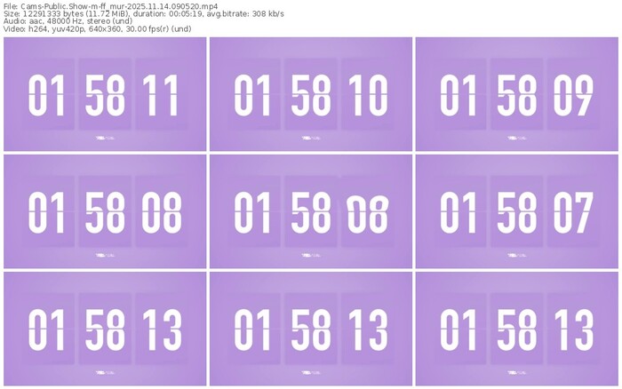cams-ff_mur-11-14-2025-09-05-20