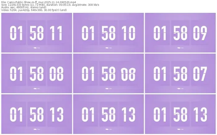 cams-ff_mur-11-14-2025-09-05-20