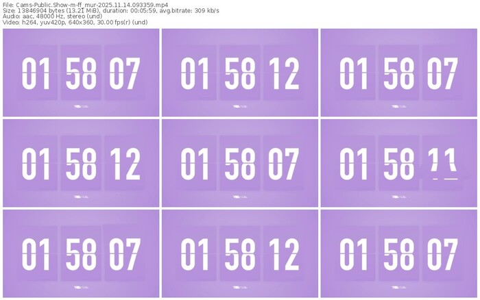 cams-ff_mur-11-14-2025-09-33-59