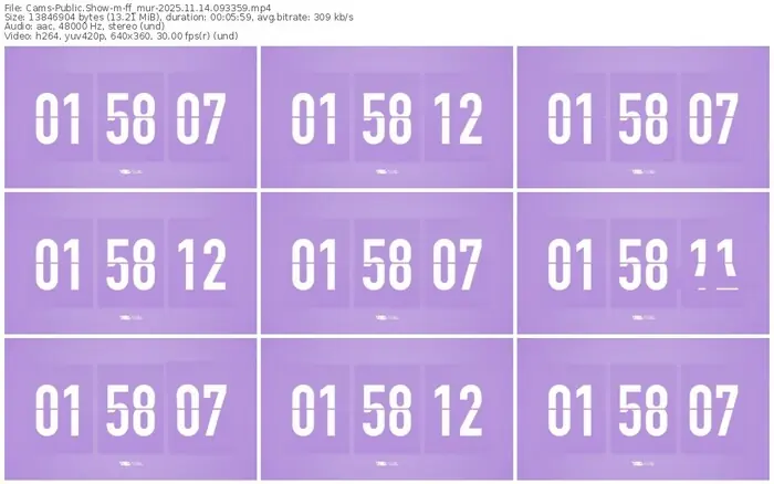 cams-ff_mur-11-14-2025-09-33-59