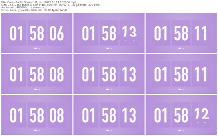 cams-ff_mur-11-14-2025-10-20-56