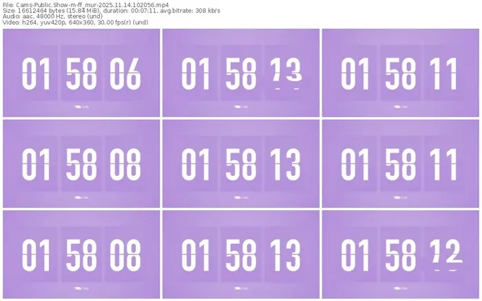cams-ff_mur-11-14-2025-10-20-56