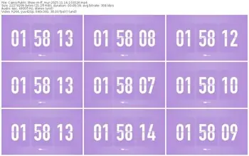 cams-ff_mur-11-14-2025-10-30-24