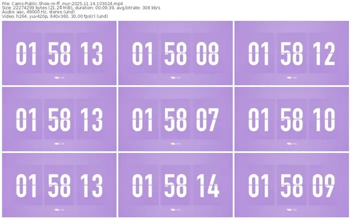 cams-ff_mur-11-14-2025-10-30-24