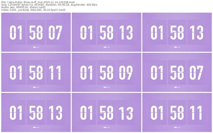 cams-ff_mur-11-14-2025-10-53-28