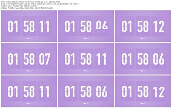 cams-ff_mur-11-14-2025-11-00-52