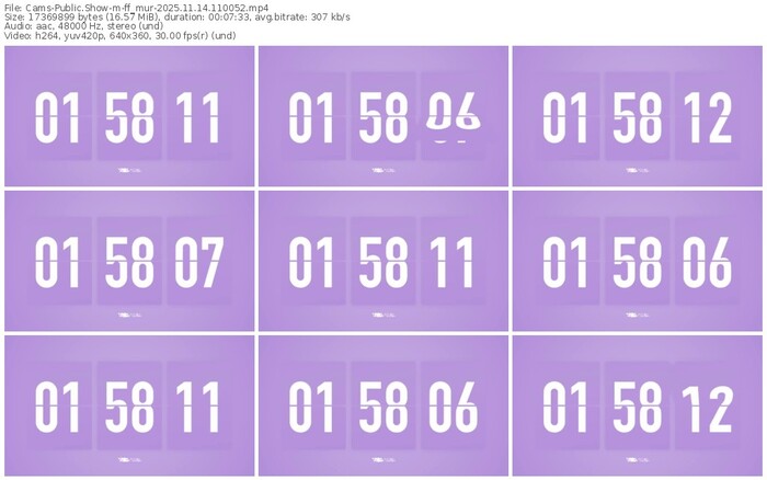 cams-ff_mur-11-14-2025-11-00-52
