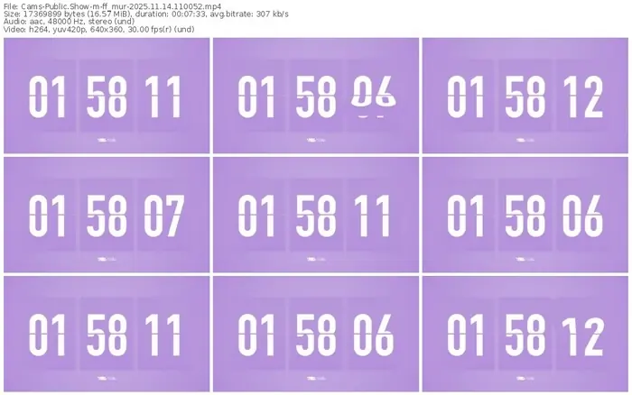 cams-ff_mur-11-14-2025-11-00-52