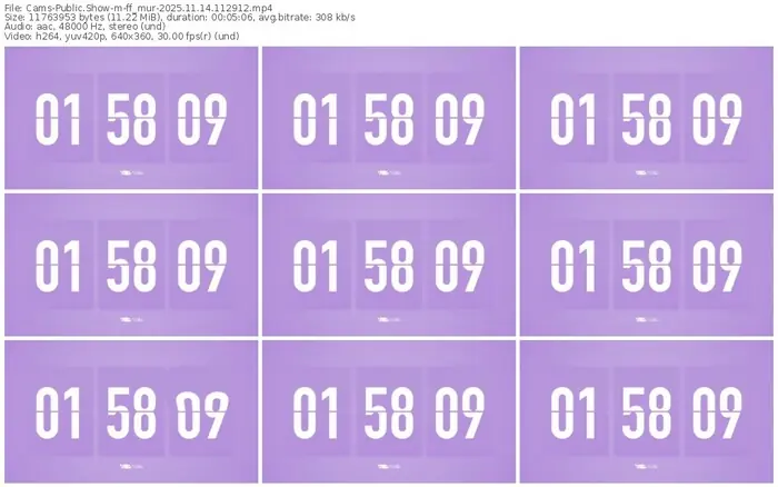 cams-ff_mur-11-14-2025-11-29-12