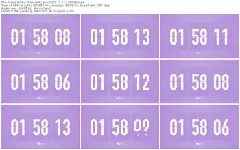 cams-ff_mur-11-14-2025-12-00-06