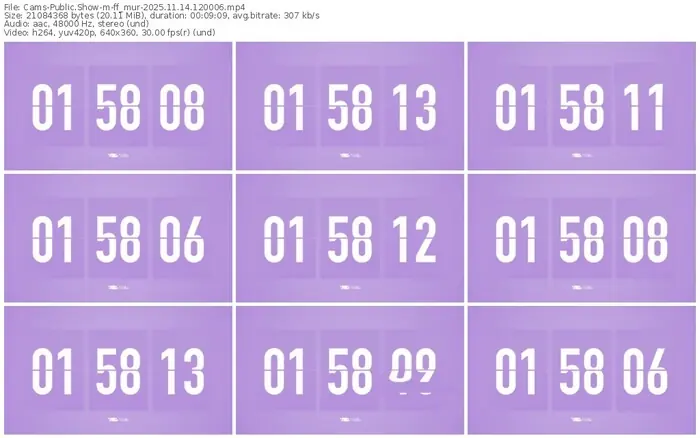 cams-ff_mur-11-14-2025-12-00-06