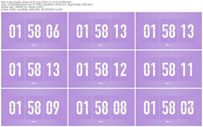 cams-ff_mur-11-14-2025-12-17-48