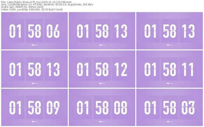 cams-ff_mur-11-14-2025-12-17-48