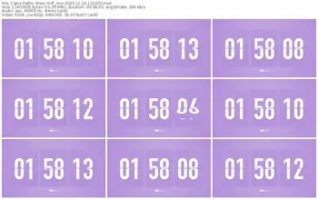 cams-ff_mur-11-14-2025-12-24-23