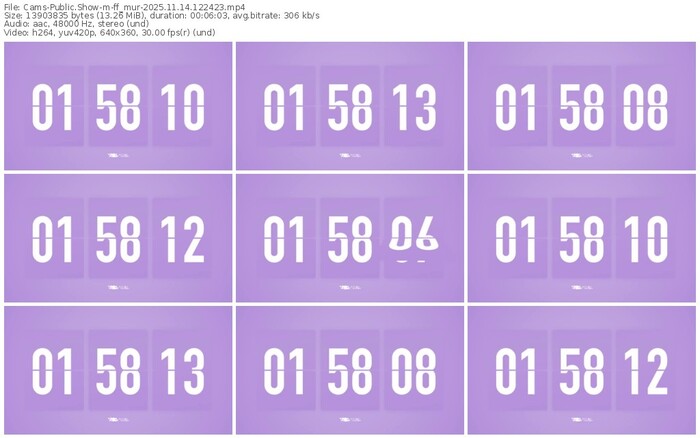 cams-ff_mur-11-14-2025-12-24-23