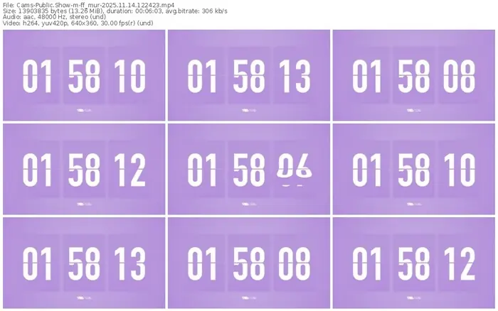 cams-ff_mur-11-14-2025-12-24-23