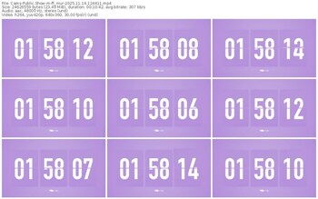 cams-ff_mur-11-14-2025-12-44-11