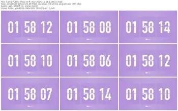 cams-ff_mur-11-14-2025-12-44-11