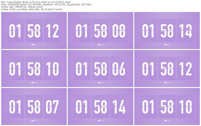 cams-ff_mur-11-14-2025-12-44-11