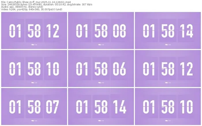 cams-ff_mur-11-14-2025-12-44-11