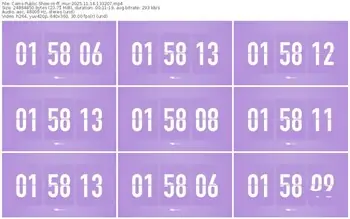 cams-ff_mur-11-14-2025-13-32-07