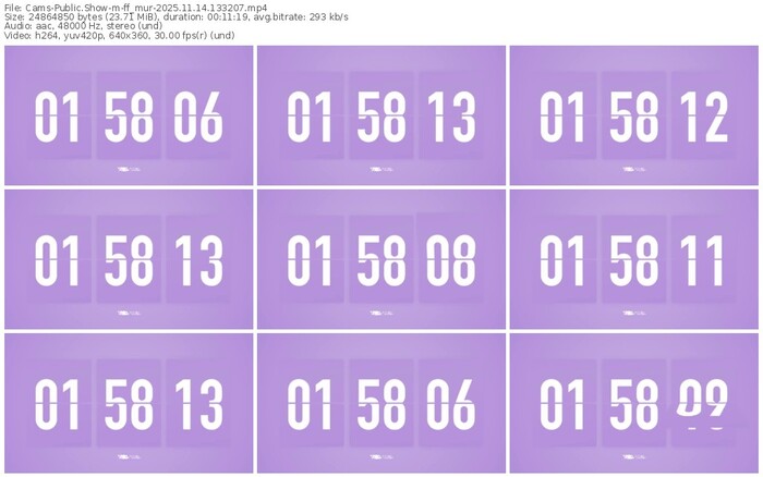 cams-ff_mur-11-14-2025-13-32-07
