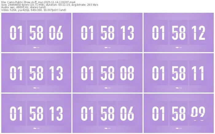 cams-ff_mur-11-14-2025-13-32-07