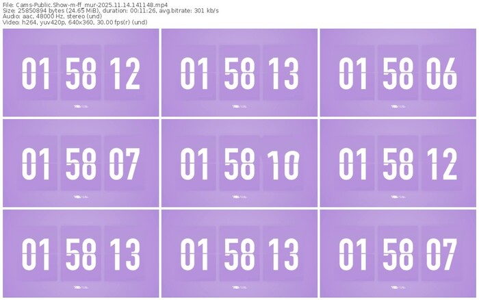cams-ff_mur-11-14-2025-14-11-48
