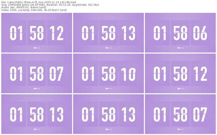 cams-ff_mur-11-14-2025-14-11-48