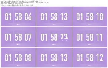 cams-ff_mur-11-14-2025-14-23-27