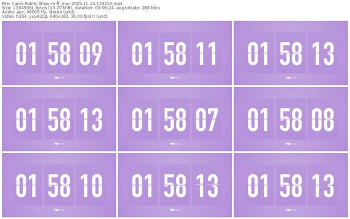 cams-ff_mur-11-14-2025-14-32-10