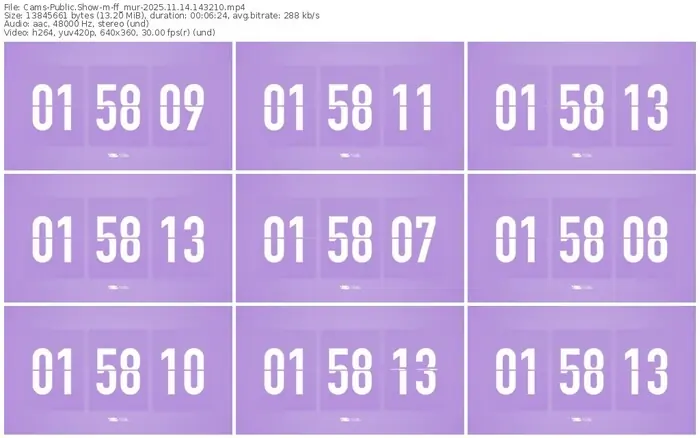 cams-ff_mur-11-14-2025-14-32-10