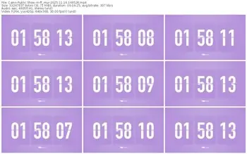 cams-ff_mur-11-14-2025-14-45-26