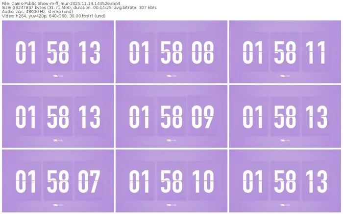 cams-ff_mur-11-14-2025-14-45-26
