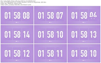 cams-ff_mur-11-14-2025-15-05-30