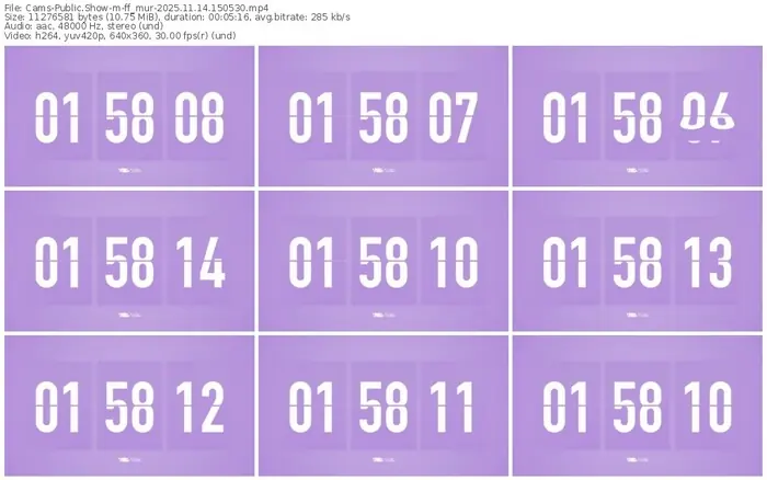 cams-ff_mur-11-14-2025-15-05-30