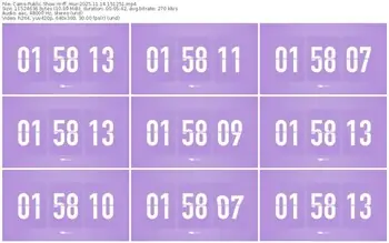 cams-ff_mur-11-14-2025-15-12-51