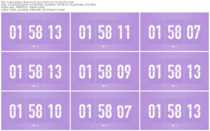 cams-ff_mur-11-14-2025-15-12-51