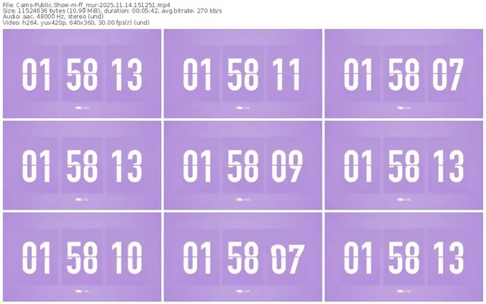 cams-ff_mur-11-14-2025-15-12-51