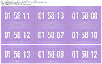 cams-ff_mur-11-14-2025-15-46-00